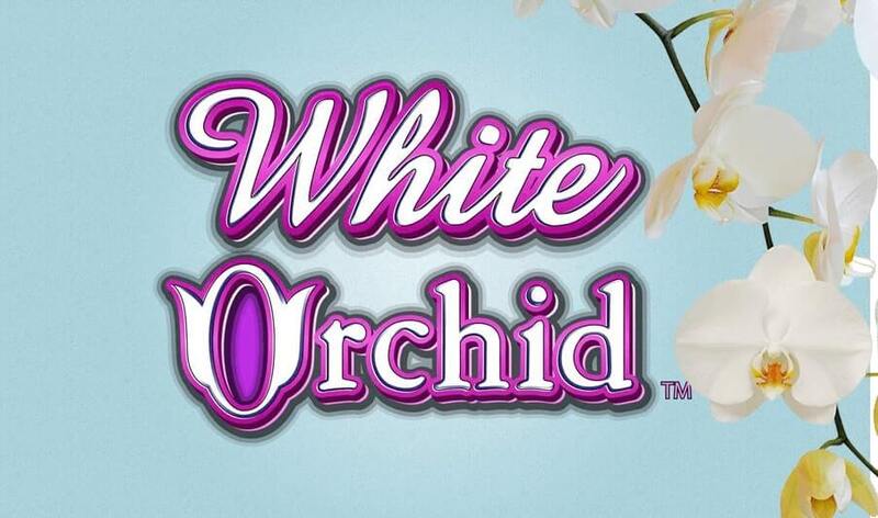 White Orchid Free Slot